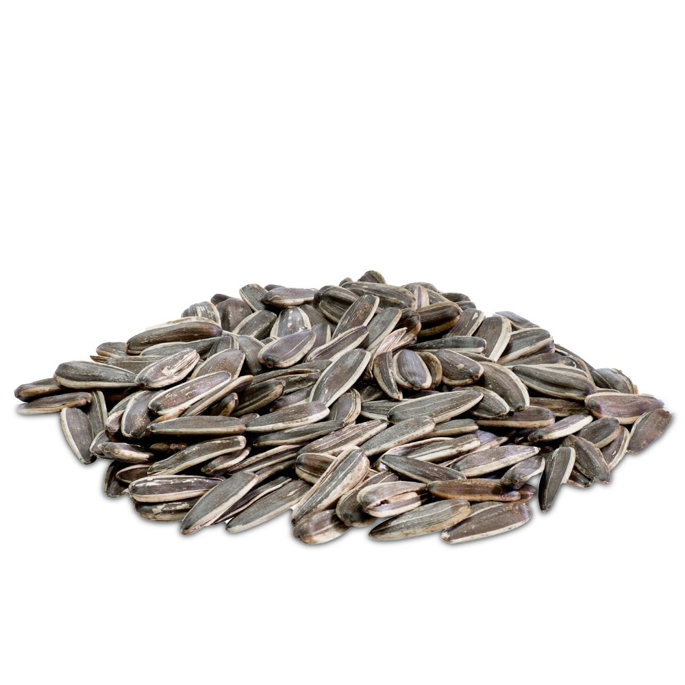 لب سوري كبير