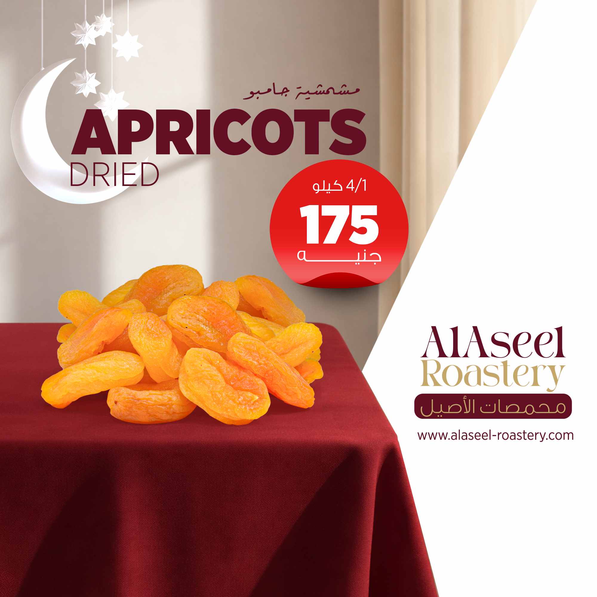 مشمشية جامبو