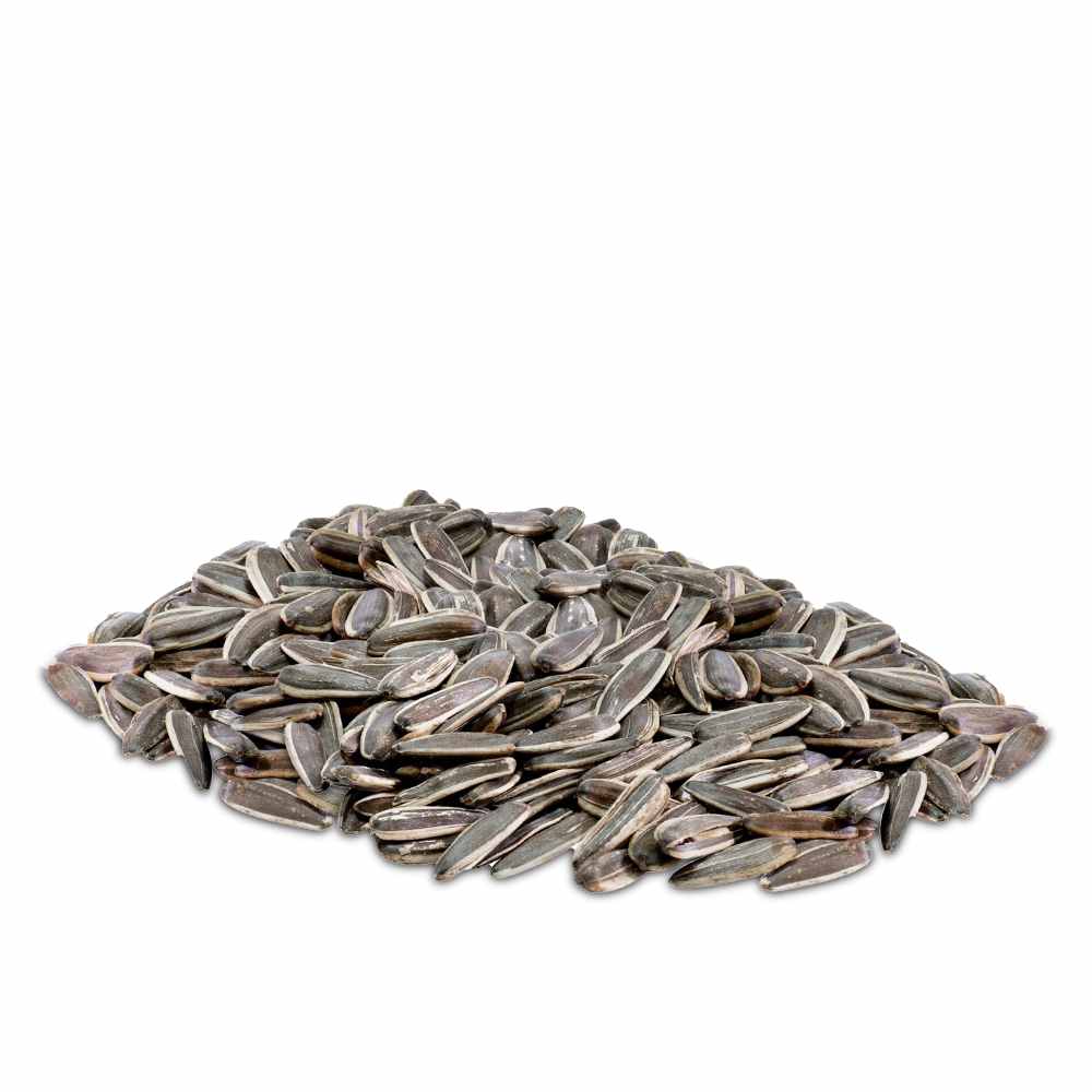 لب سوري وسط